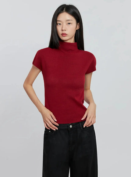 chic-high-neck-knit-top-io530