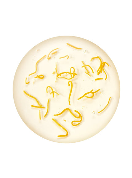 Kojic Acid Niacinamide Brightning Ampoule (40ml)