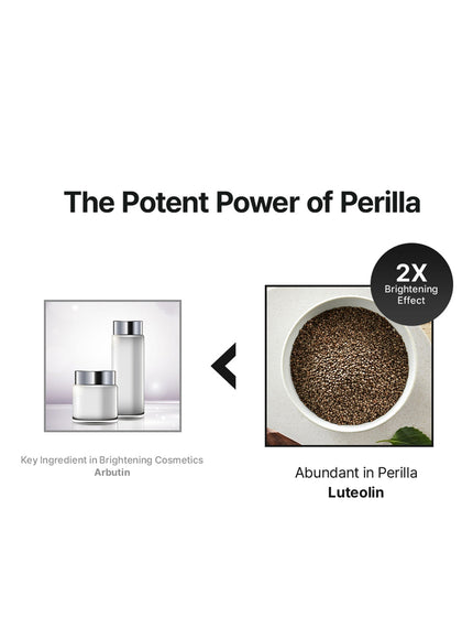 Perilla Brightening Serum (50ml)