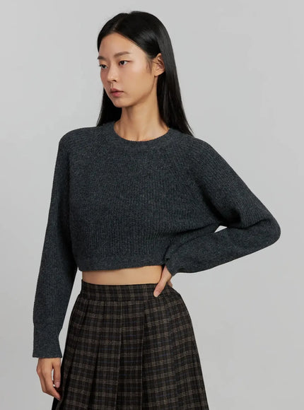 Cropped Crewneck Knit Top IJ502