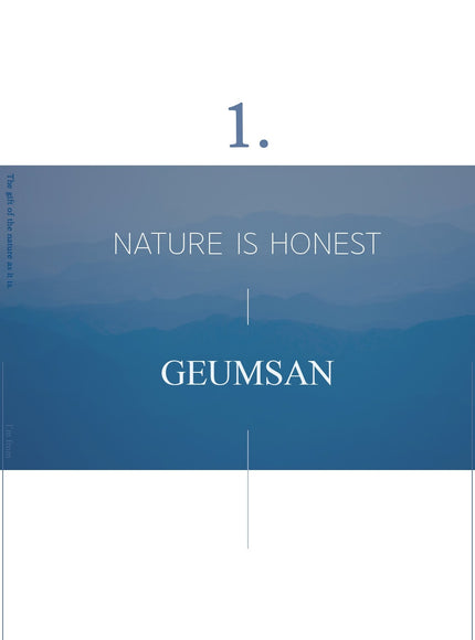 ginseng-mask-120g