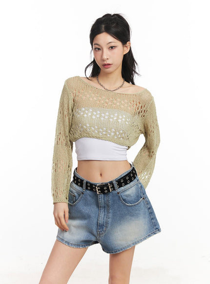 Crochet Micro Knit Sweater CA514