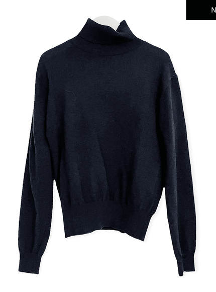 Turtleneck Knit Pullover