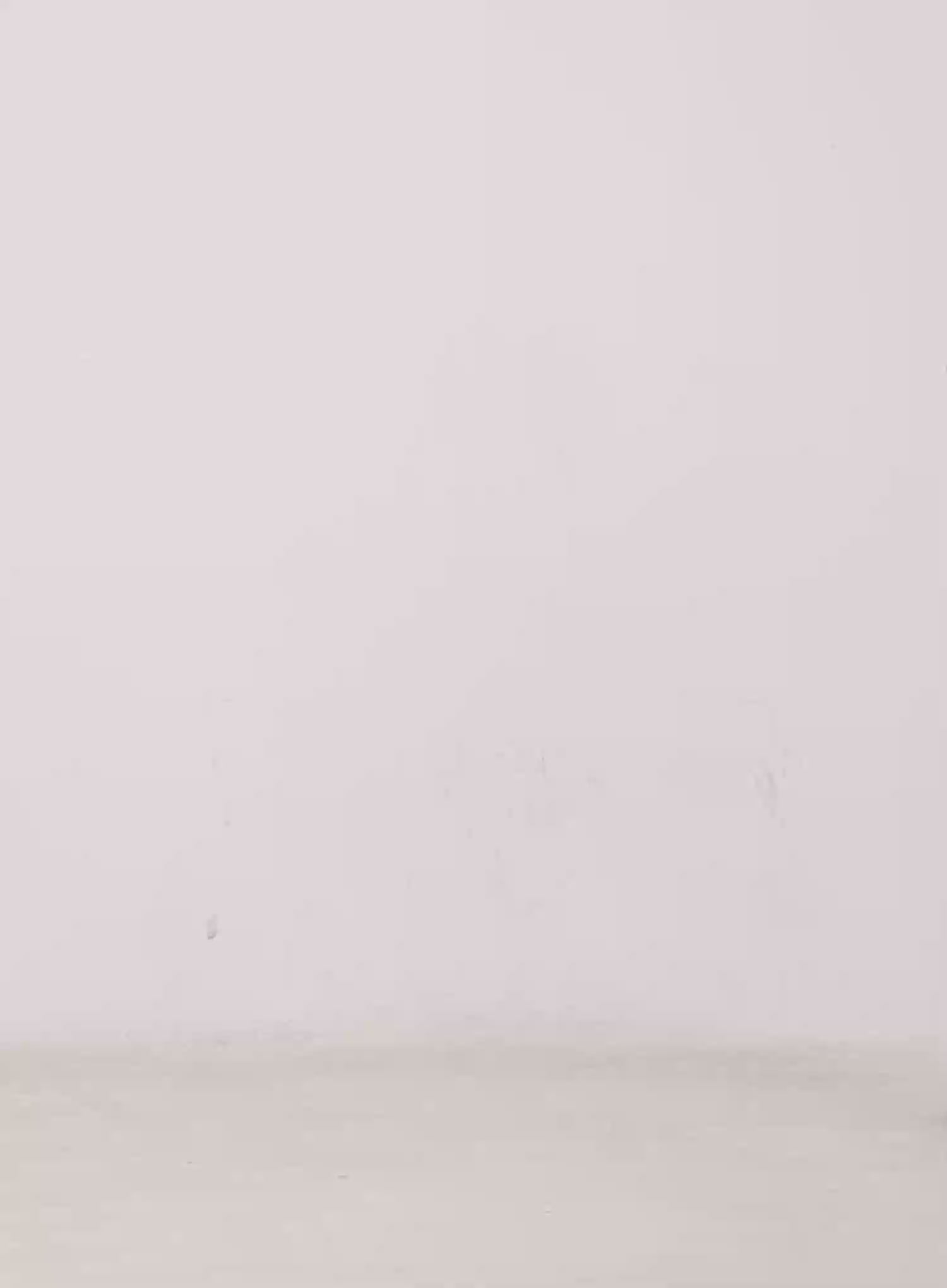 Casual Ribbed Bootcut Pants CS504