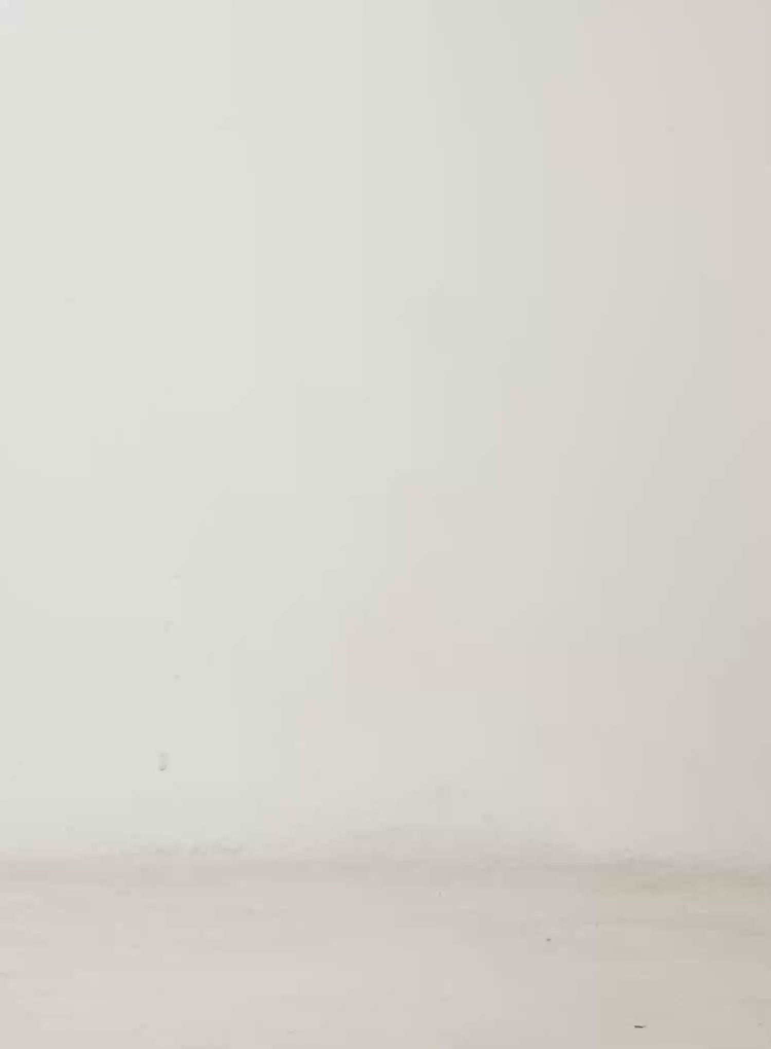 Graphic Faux Fur Trim Zip-Up Hoodie CD512