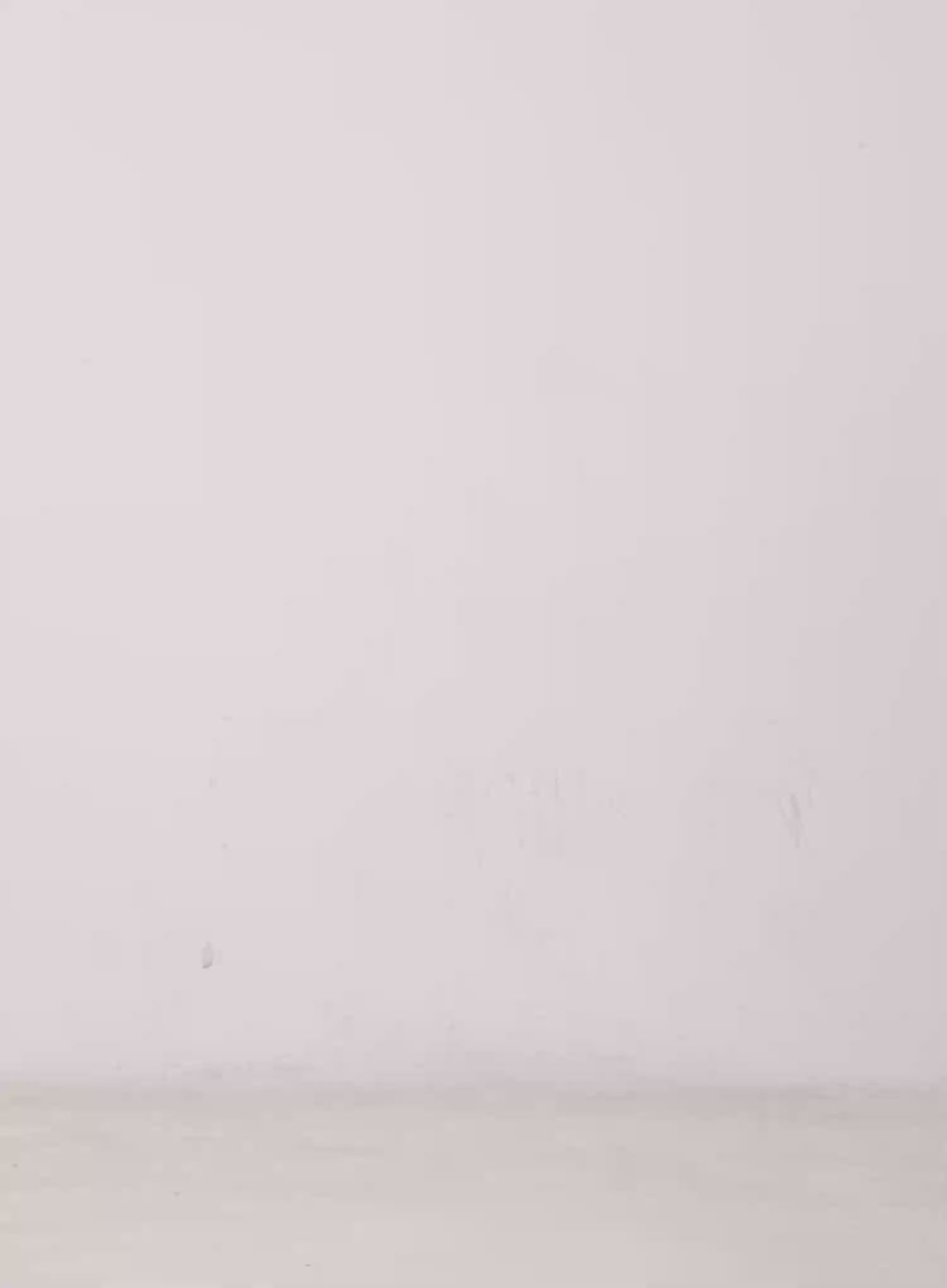 Relaxed Fit Cargo Pants CG529