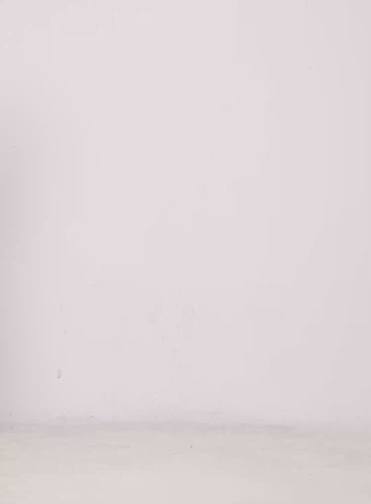Basic V-Neck Halter Tank CL507