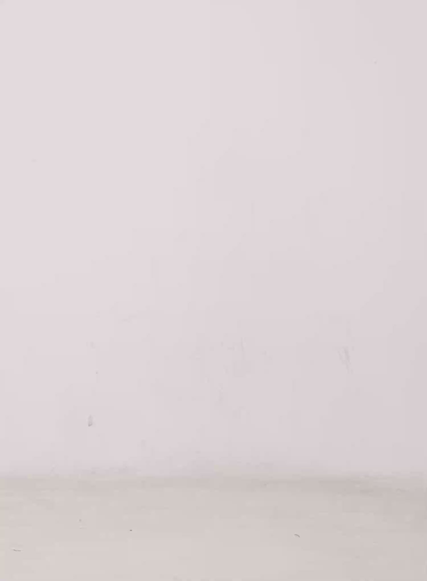 American Flag Off-Shoulder Sweatshirt CS504