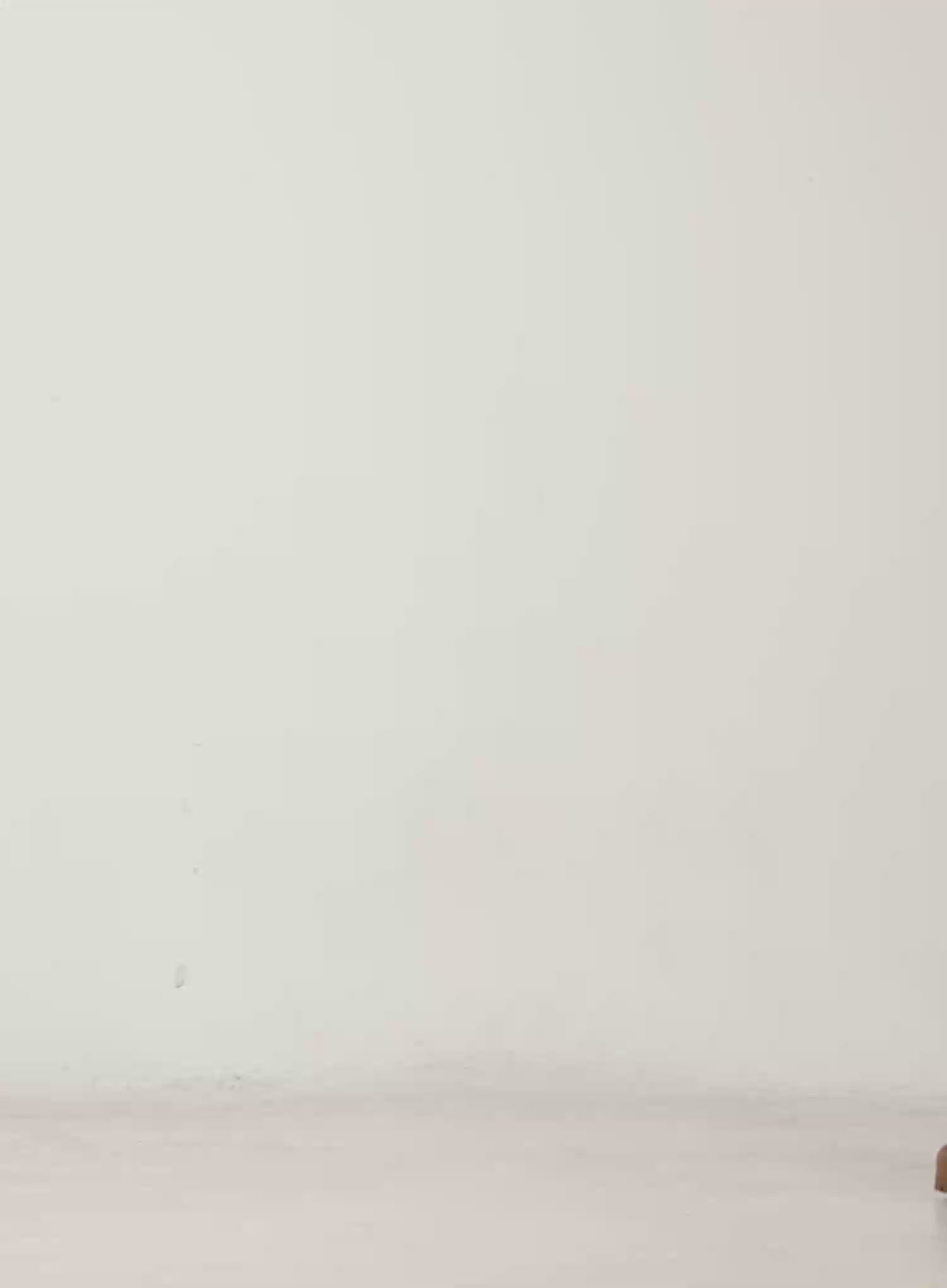 Slim Fit Lettering Long Sleeve Top CN527