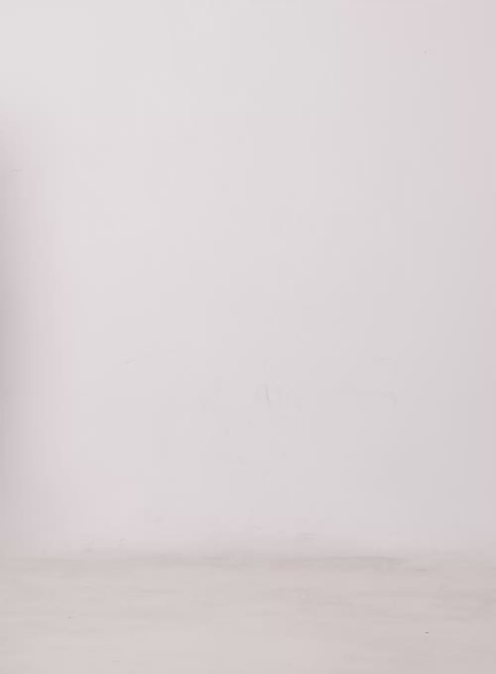 Lace Embroidered Sweatshorts CY527