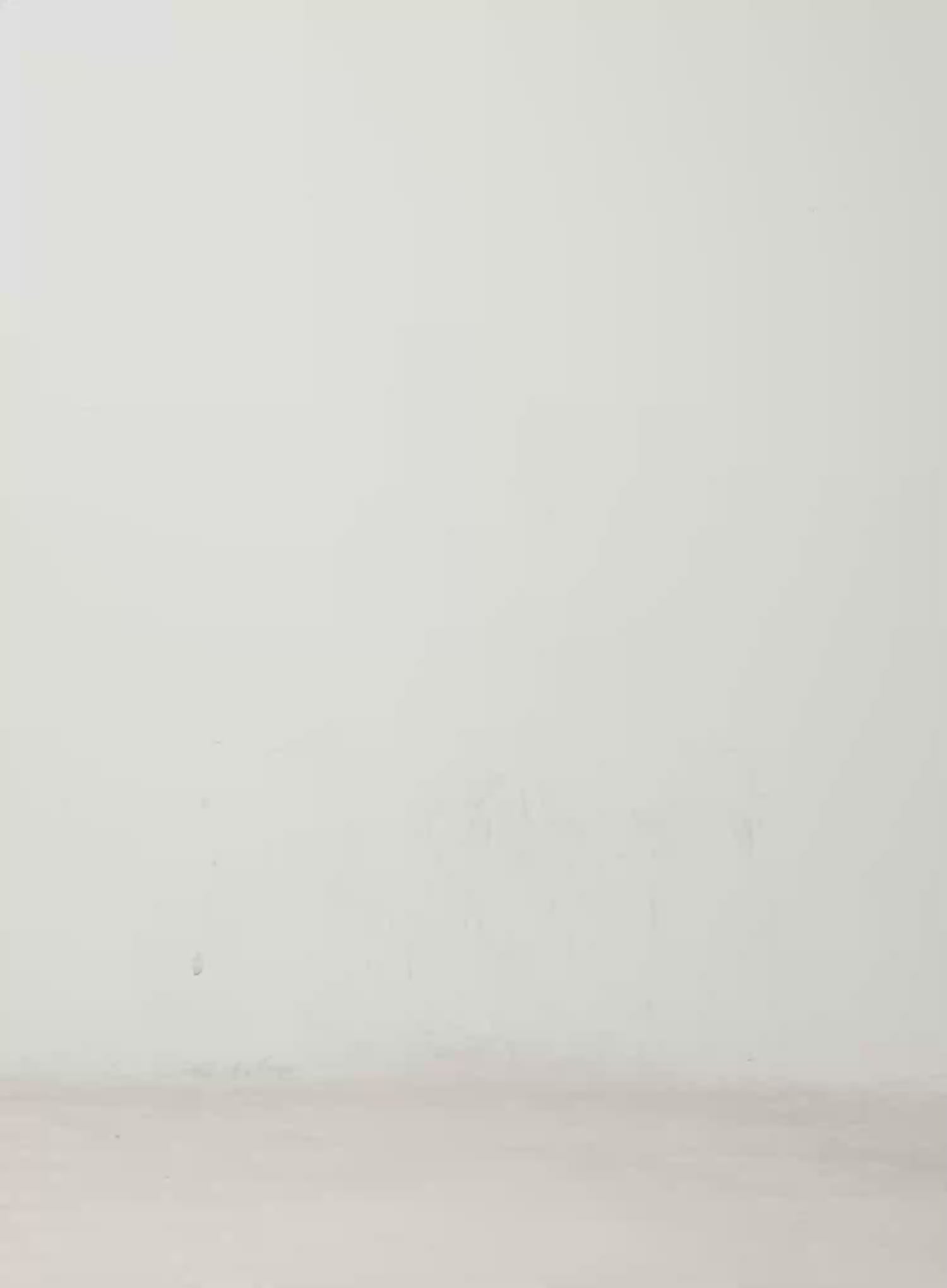 Square Neck Crop Top IN528