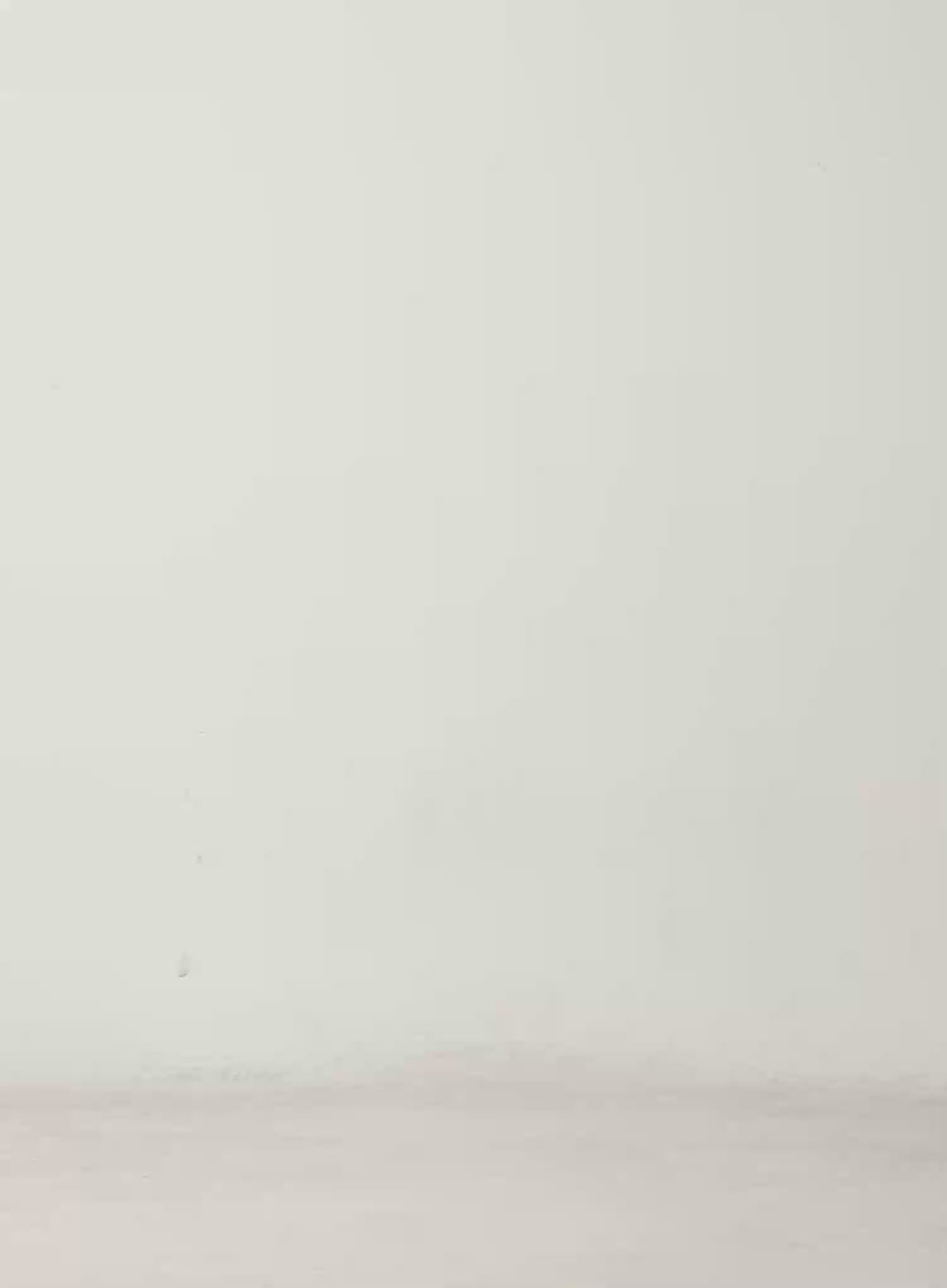 Basic Knit Bolero CN527