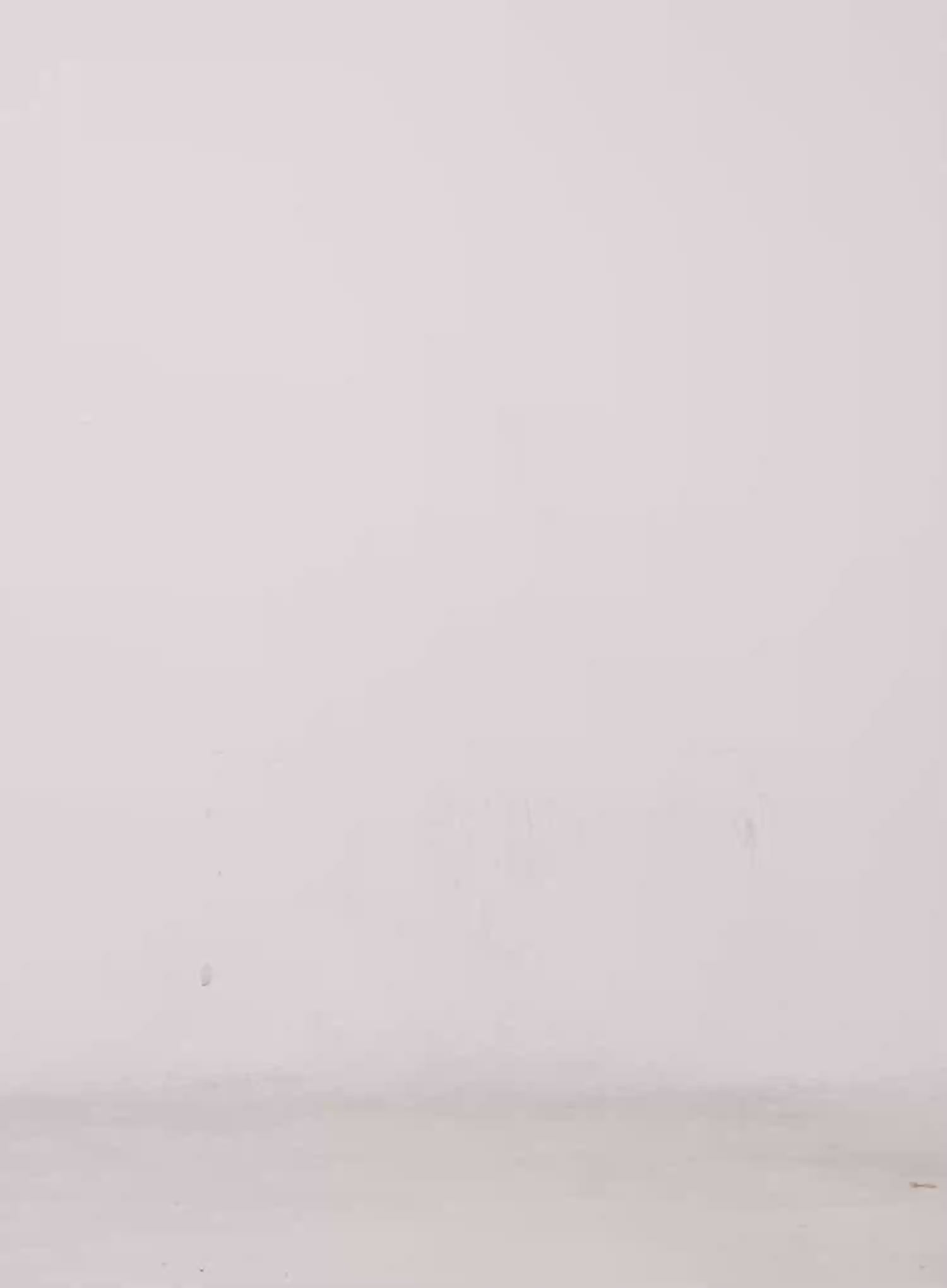 Slim Fit Zip-Up Hoodie CS510