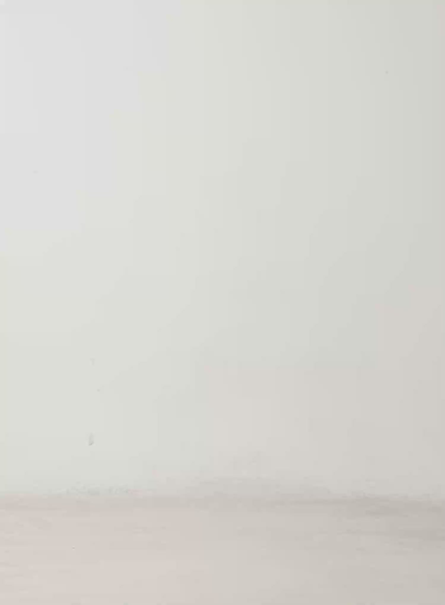 Adalee Non-Fade Low-Rise Flare Jeans CD515