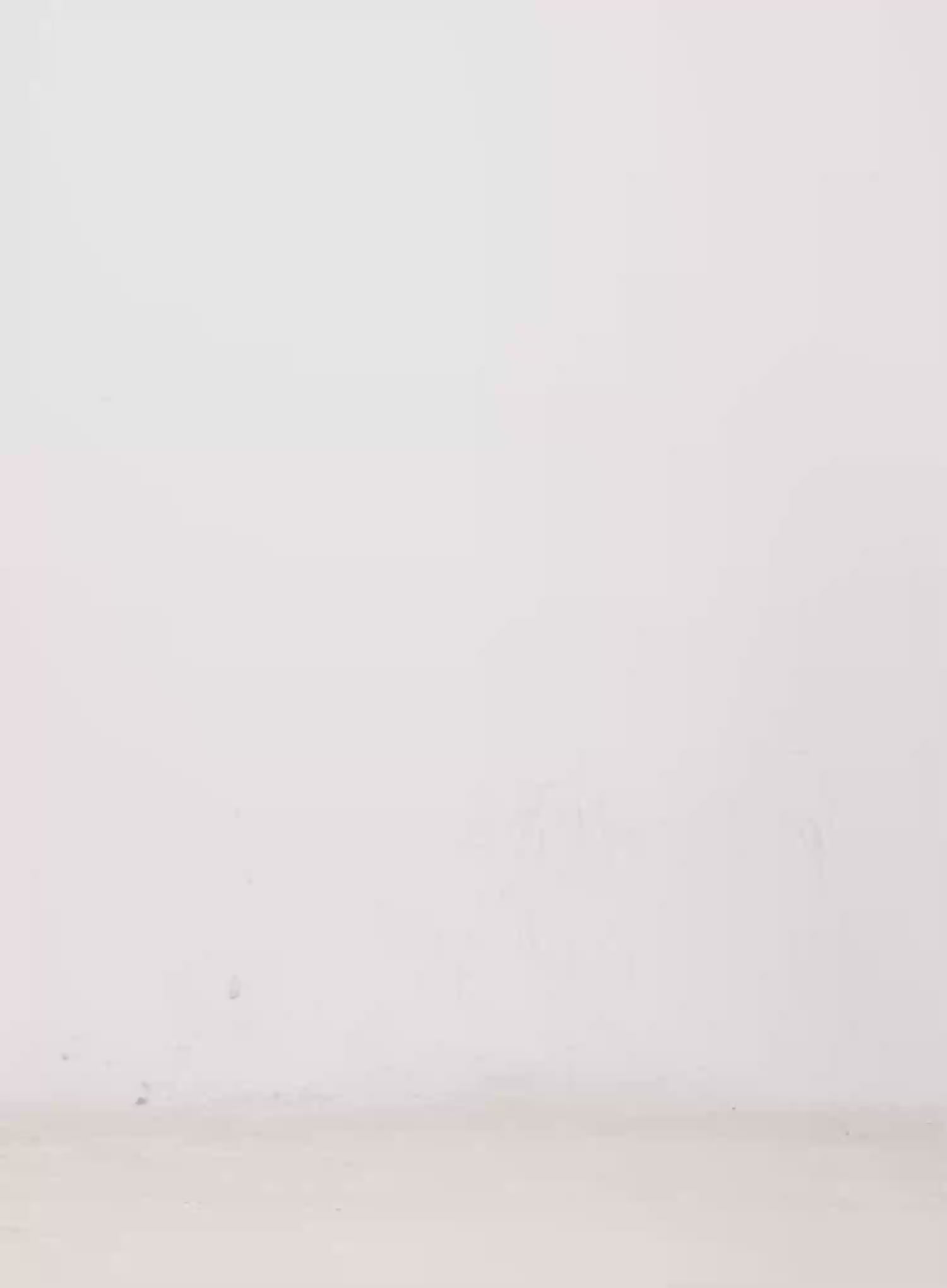 Velvet Buttoned Vest IN514