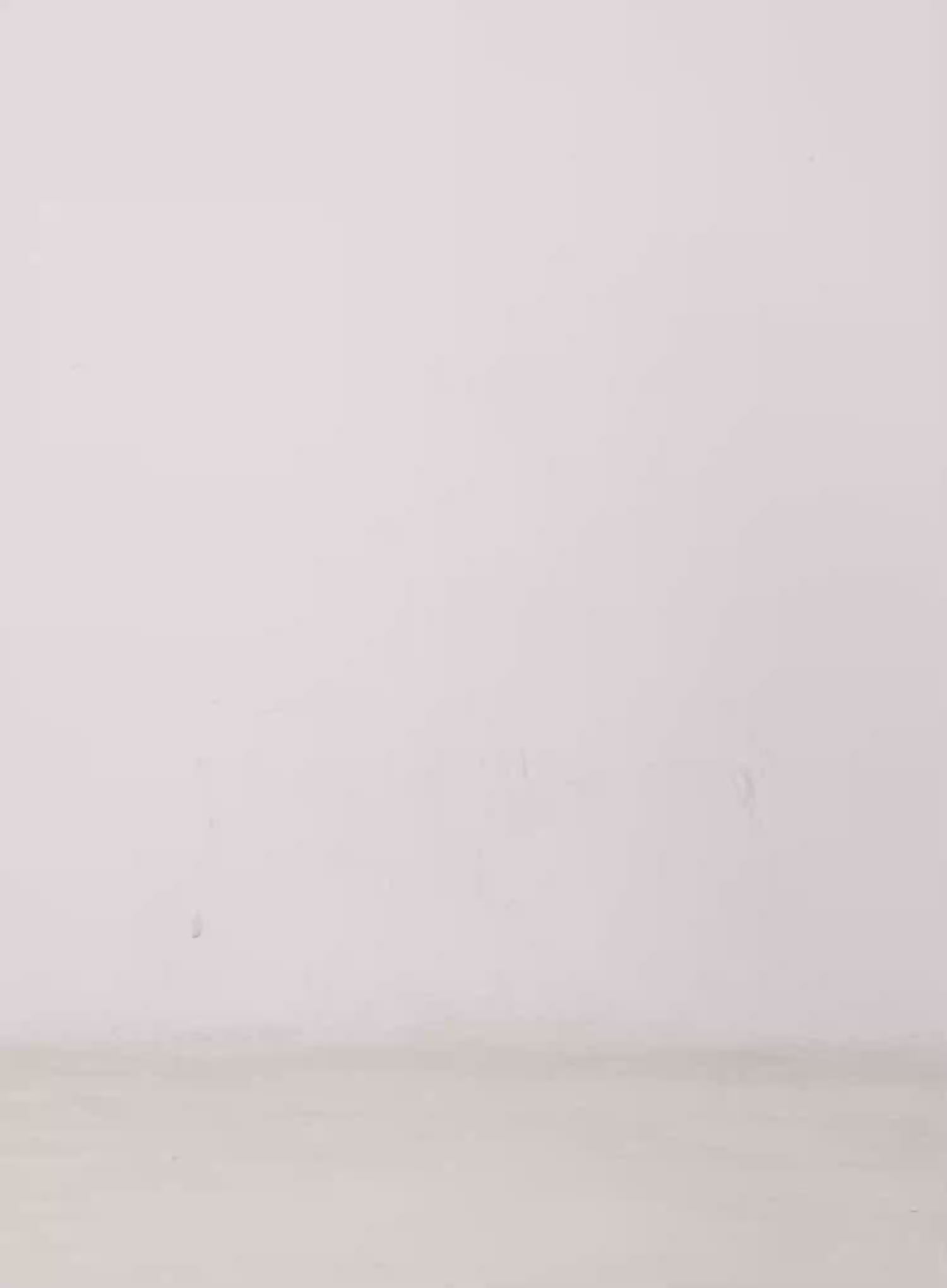 Halle Wide Leg Jeans CS504