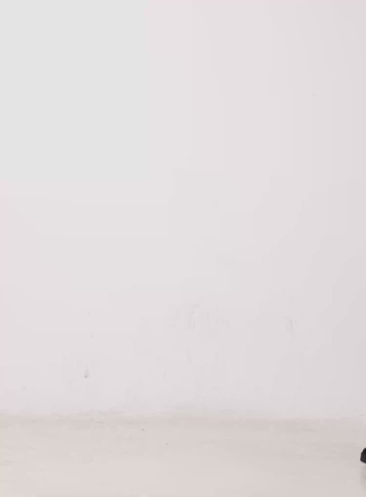 Rayna Vintage Washed Wide Jeans CO528