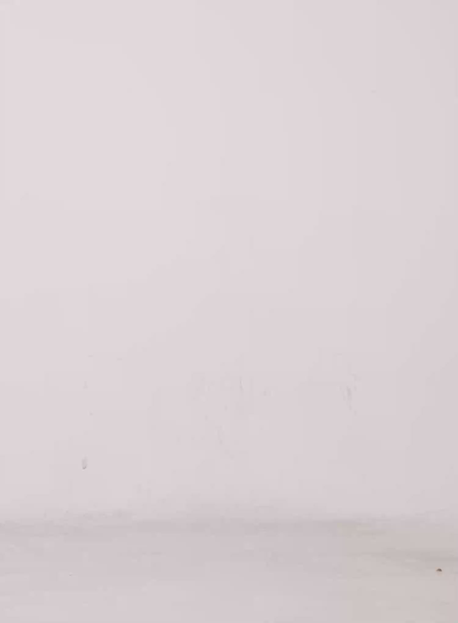 London Faded Baggy Jeans CS510