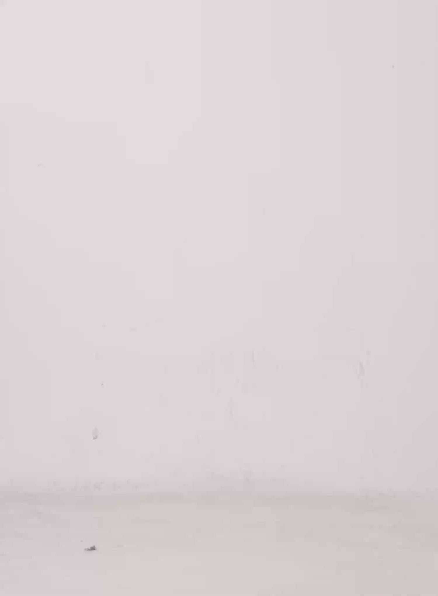 Snap Button Long Sleeve Hooded Top CS530