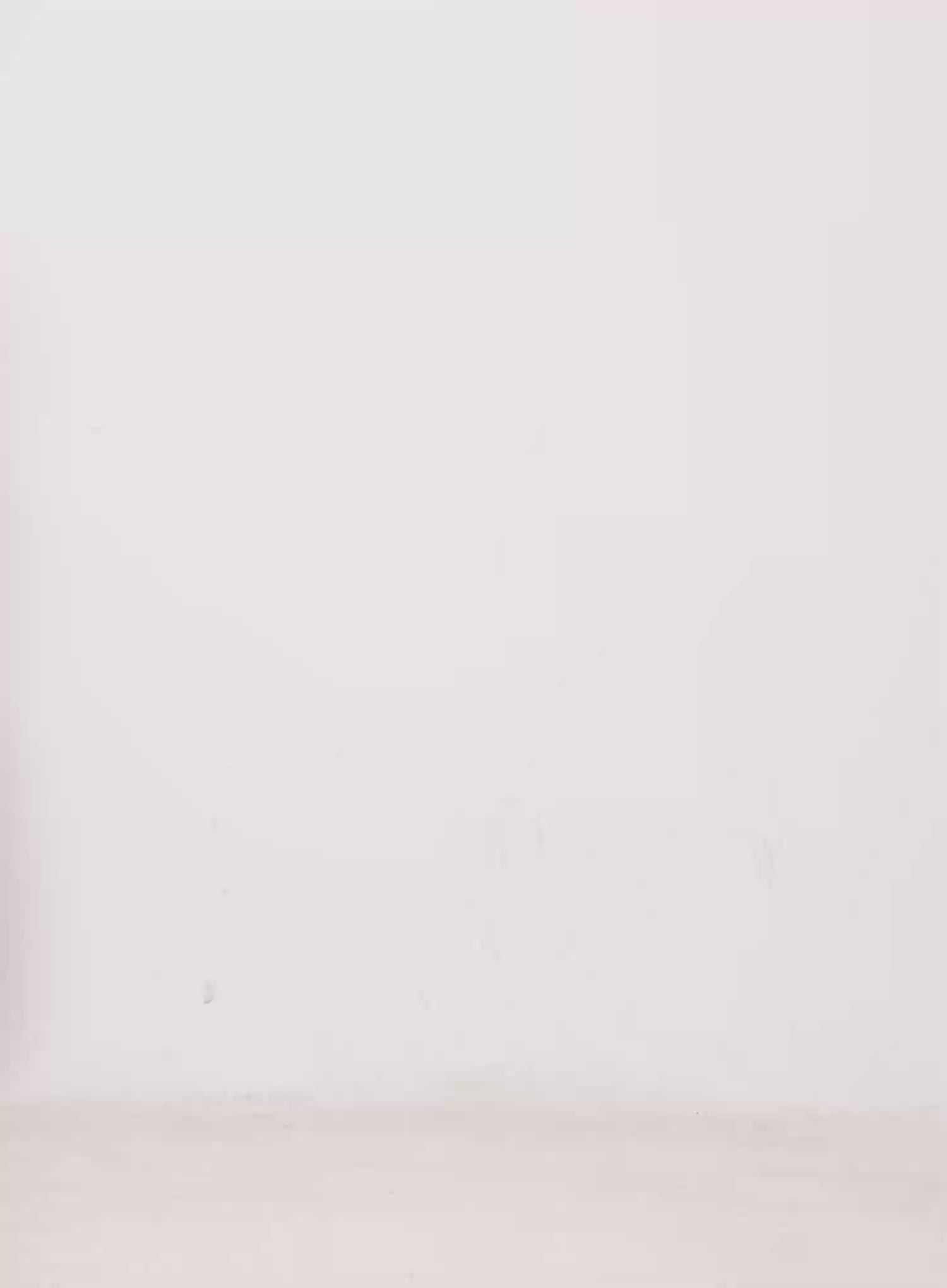 Skyler Washed Balloon Fit Jeans IN503