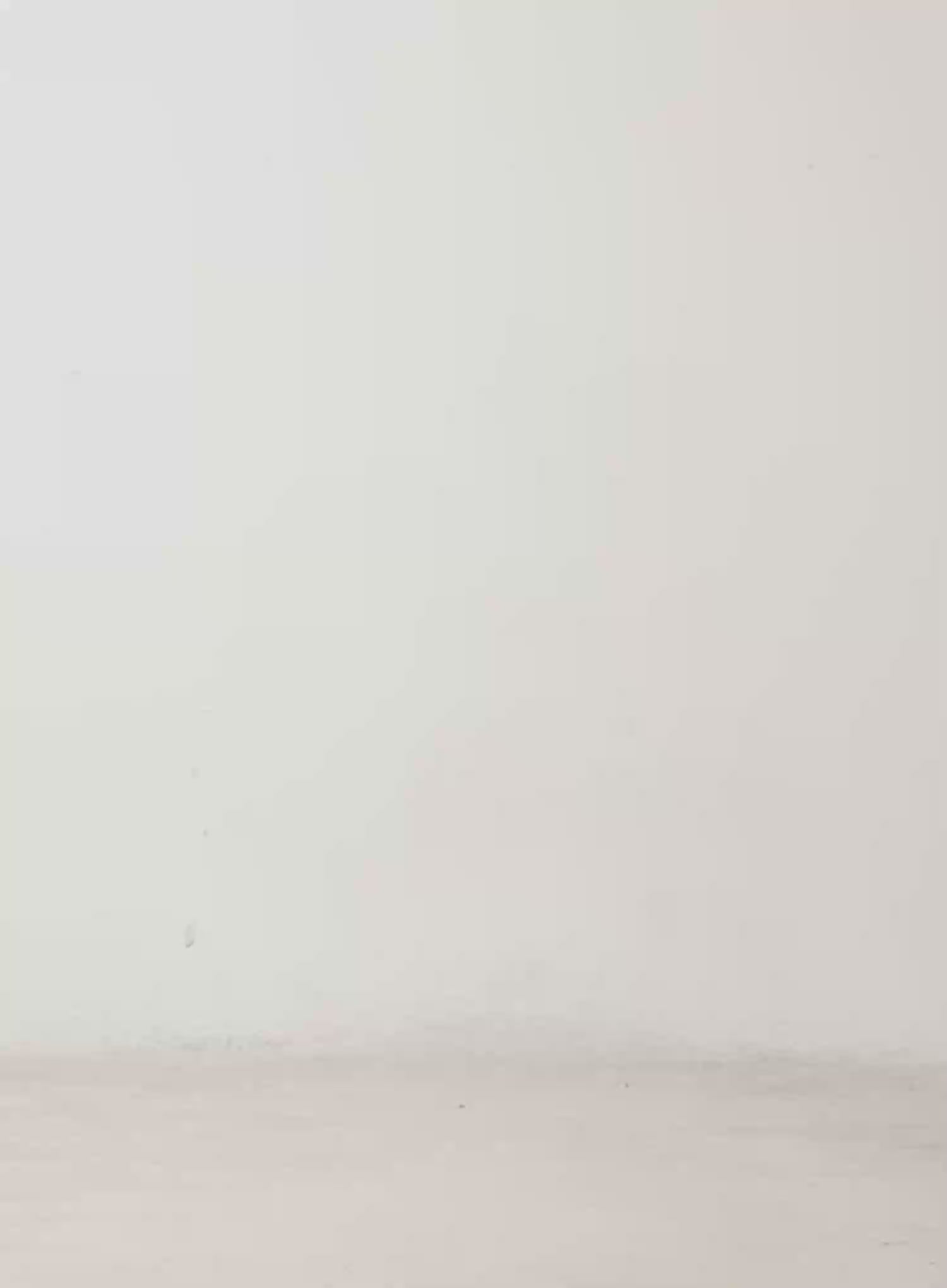 Cut-Out Cropped Zip-Up Hoodie CD515